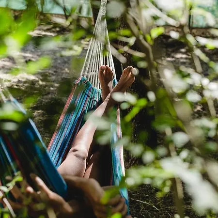 Agroturismo Retiro Do Bosque Minde