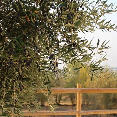 Farm stay Retiro Do Bosque