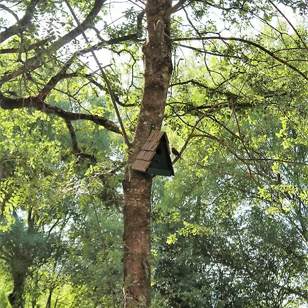 Retiro Do Bosque Agroturismo *