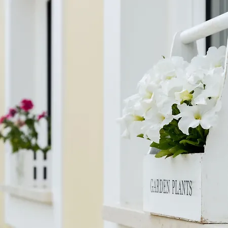 Retiro Do Bosque Farm stay *