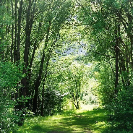 Retiro Do Bosque * Minde