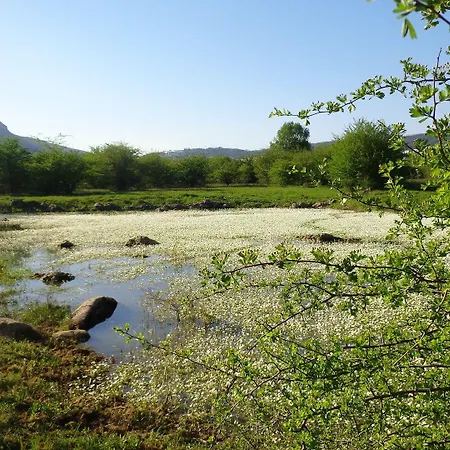 Retiro Do Bosque * Minde