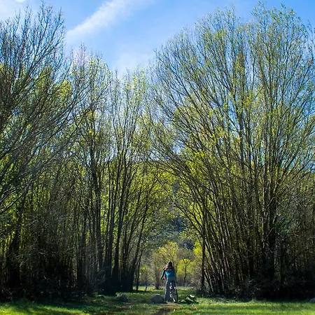 Retiro Do Bosque *