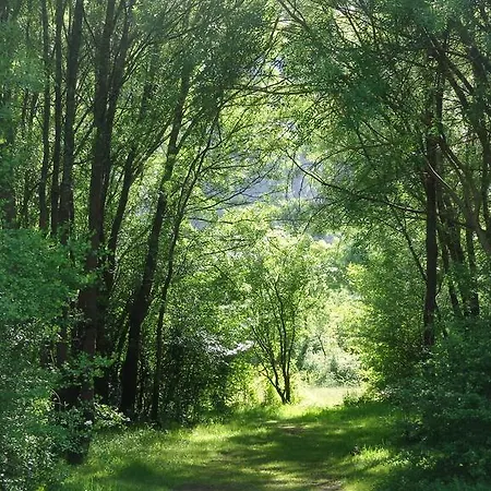 Retiro Do Bosque *