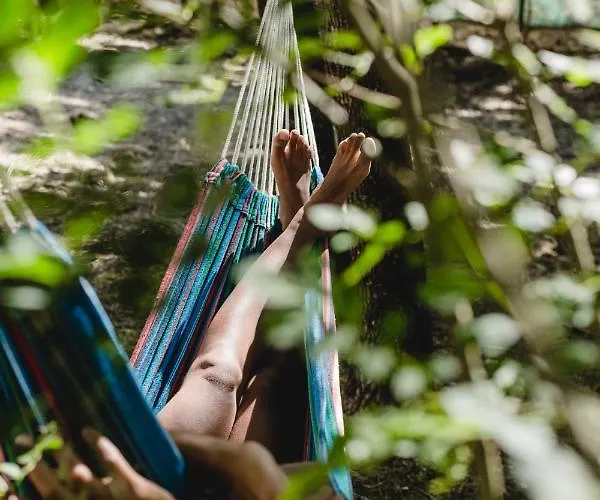 Alloggio per agriturismo Retiro Do Bosque Minde