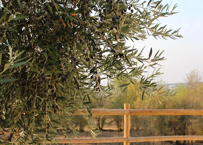 ファームステイ Retiro Do Bosque