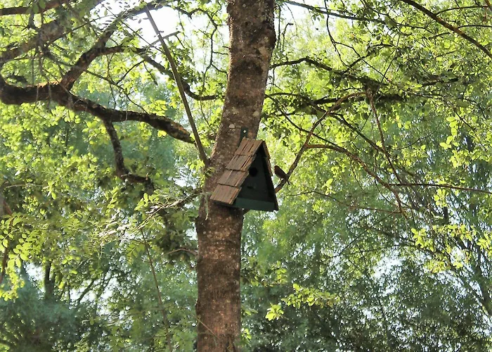 Retiro Do Bosque ファームステイ *