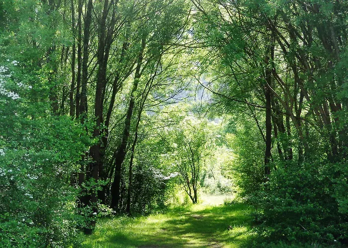 Retiro Do Bosque * Minde