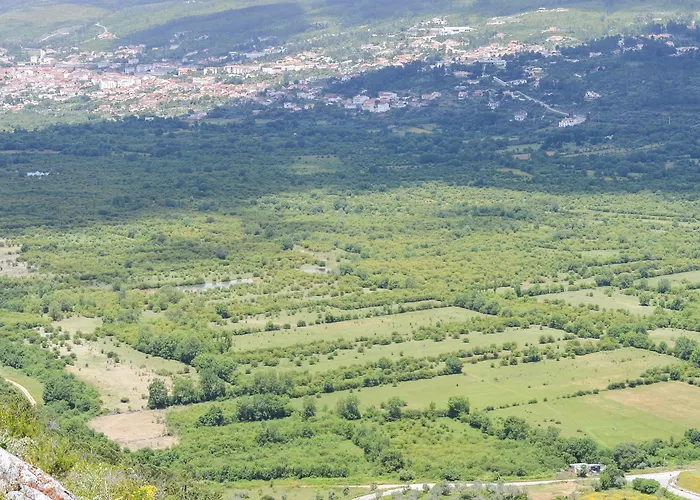 ファームステイ Retiro Do Bosque