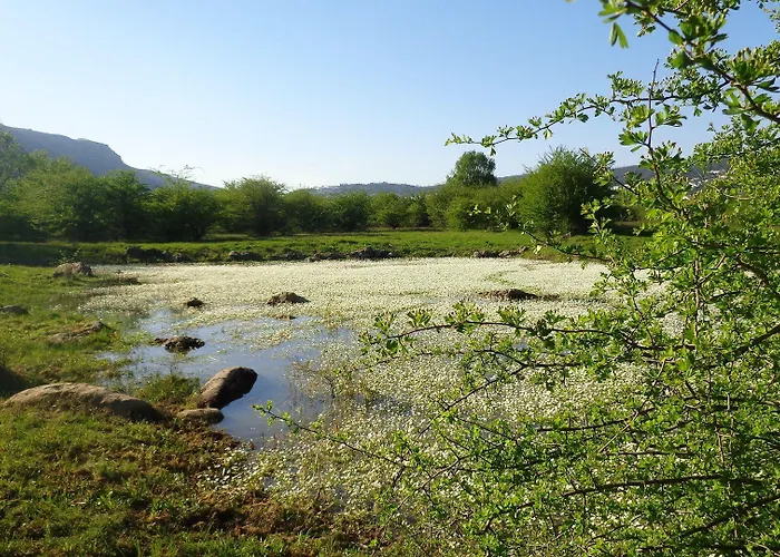 Retiro Do Bosque * Minde
