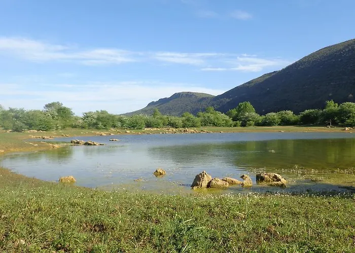 ファームステイ Retiro Do Bosque Minde