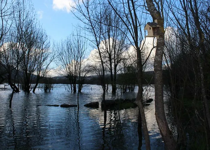 Retiro Do Bosque ファームステイ Minde